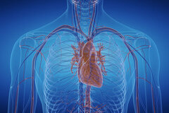 Herz-Erkrankungen | Kardiologie Siegen